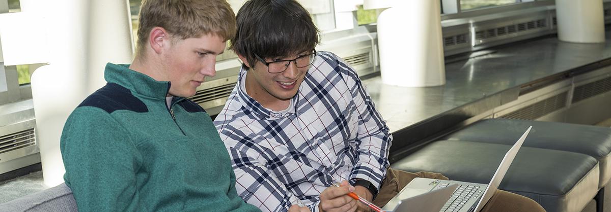 undergrad students