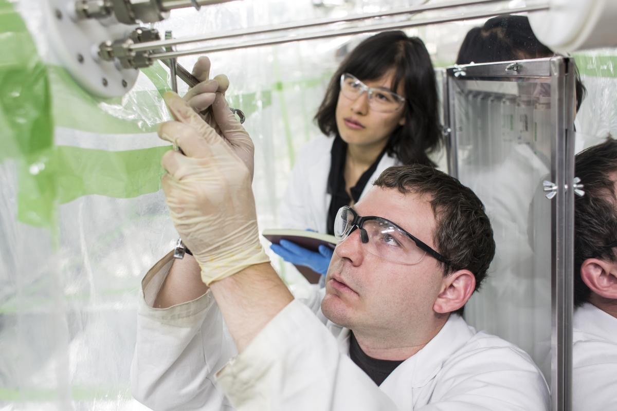 Scientists in lab