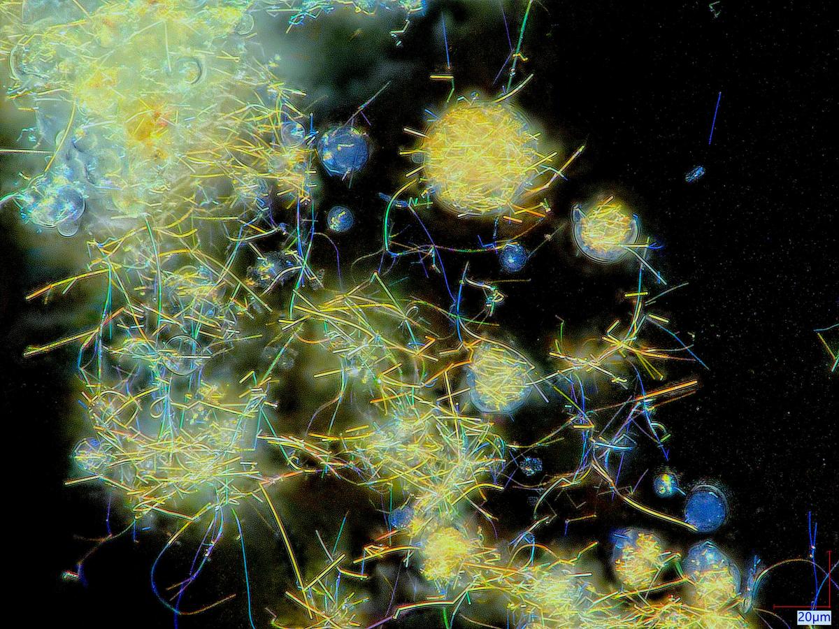 nanotechnology experiment