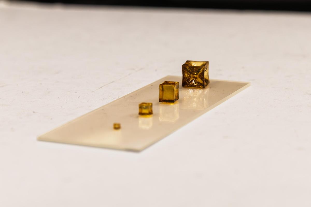 groundbreaking class of “living” polymers