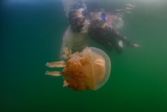 Barbara Heffner snorkeling